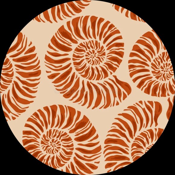 bohogal9